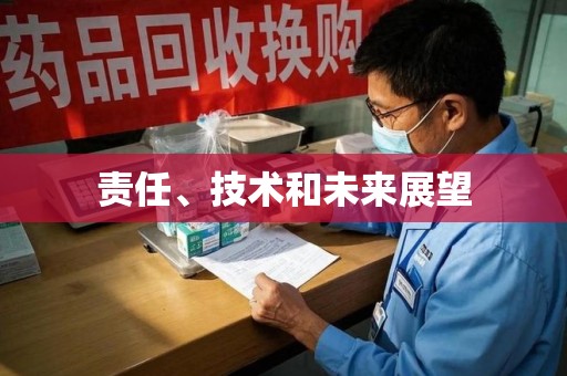 临沂责任、技术和未来展望
