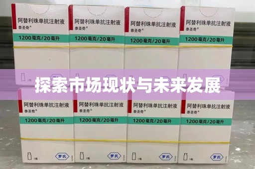 临沂探索市场现状与未来发展