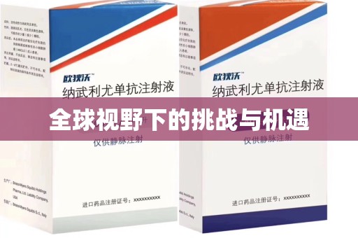 临沂全球视野下的挑战与机遇