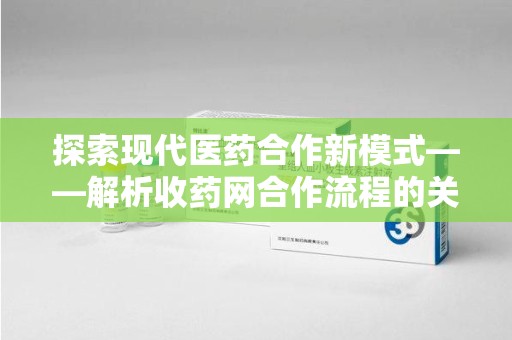 临沂探索现代医药合作新模式——解析收药网合作流程的关键要素