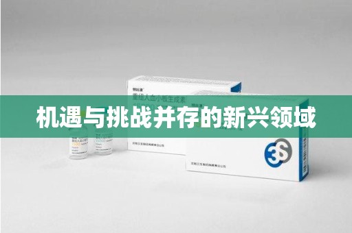 临沂机遇与挑战并存的新兴领域