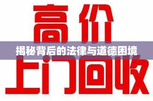 临沂揭秘背后的法律与道德困境